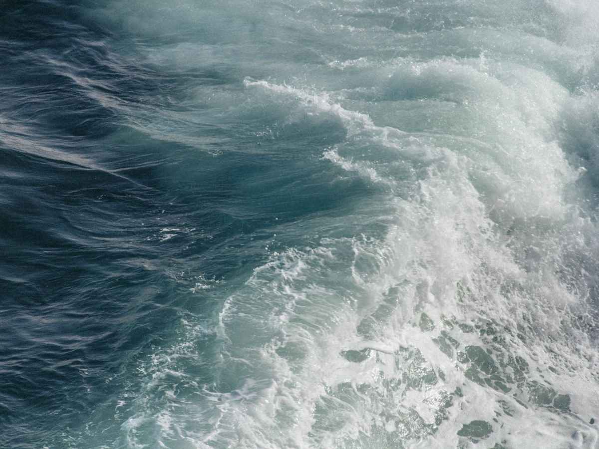 Ghost Ships and Other Spectres that Haunt the&nbsp;Seaside